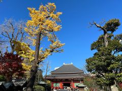 -浅草寺