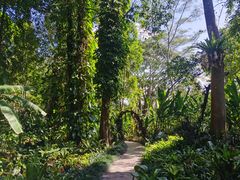 -中国科学院西双版纳热带植物园