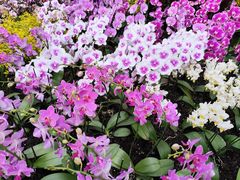 -国家植物园南园