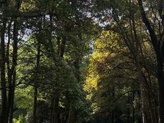 -杭州植物园