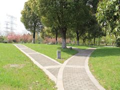 -九里河湿地公园