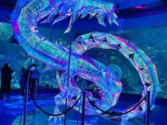 -海合安青岛极地海洋公园