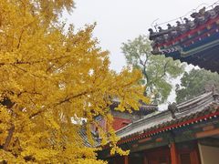 -承恩寺