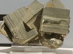 -中国地质博物馆