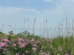 -养马岛旅游度假区