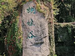 -梧桐山风景名胜区