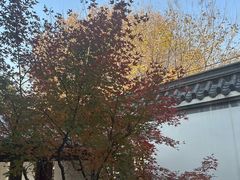 -堤角公园