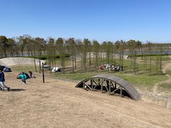 -春花秋色城市公园