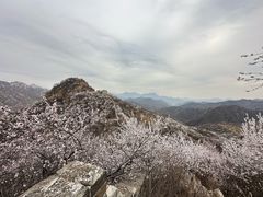 -龙泉峪长城