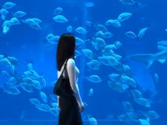 -南昌融创海世界