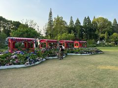 -无锡蠡湖国家湿地公园-蠡园