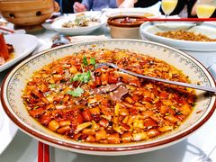 成都毛血旺-沪碟·精菜坊(闵行店)