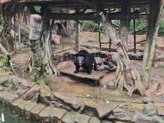 -长鹿旅游休博园