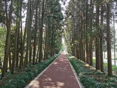 -上海长兴岛郊野公园