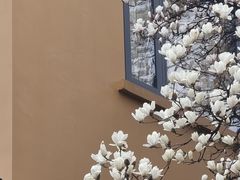-龙华寺