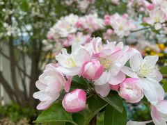 -木屋烧烤(西南角店)