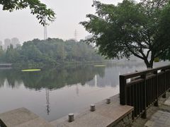 -重庆彩云湖湿地公园