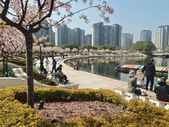 -新江湾城公园