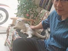 -平行世界·猫咖(首经贸店)