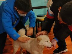 -猫小院猫主题咖啡厅(北锣店)