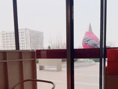 -金鼎轩(鸟巢北辰荟店)