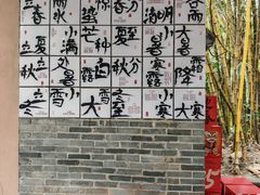 -广西壮族自治区药用植物园