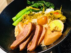 -MR鹅外