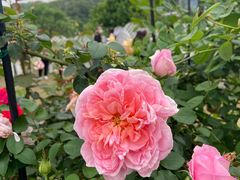 -牛岗山公园