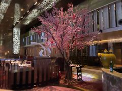 -金轩中餐厅 Jin Xuan(浦东丽思卡尔顿酒店)
