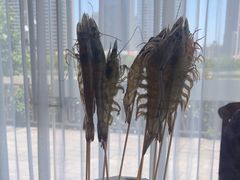 -东海怡品海鲜豆捞(舟宿夜江店)