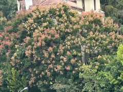 -重庆医科大学附属第一医院(金山院区)