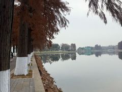 -东湖落雁景区