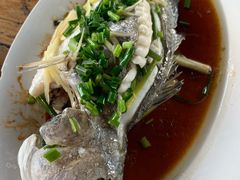 清蒸白花鱼-海上驿站渔家菜馆