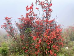 -广东天露山旅游度假区