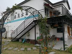 -大塘金香草谷