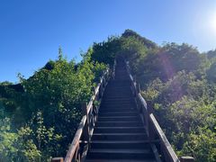 -大岭沟猕猴桃谷风景区