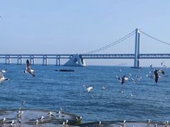 -星海广场