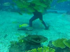 -福州罗源湾海洋世界旅游区