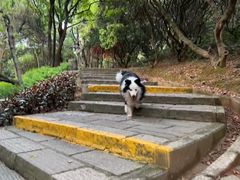 -清溪大王山森林公园