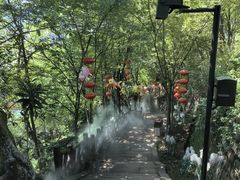 -丰都鬼城名山景区