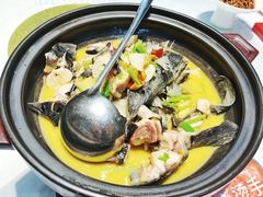 -饭怕鱼·黄焖鲟龙鱼(湖大店)