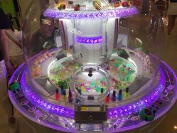 -莫莉幻想儿童乐园(绍兴金帝银泰城店)