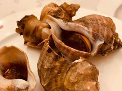 盐焗海螺-万宝海鲜舫(劳动公园店)
