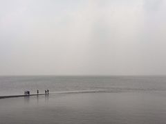 -瀛洲公园