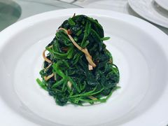 香干菠菜-申粤轩酒楼·三十年粤菜经典(丁香花园店)