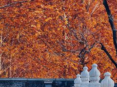 -北京石刻艺术博物馆(五塔寺)