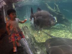 -暹罗海洋世界