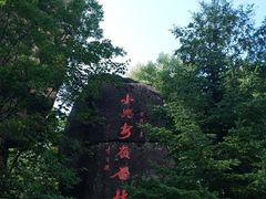 -汤旺河林海奇石景区