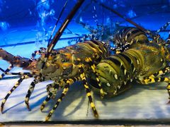 -青石桥市场北1-27号