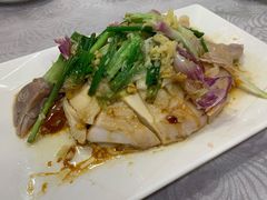 招牌葱油鸡-粤·向群饭店(龙津东路总店)